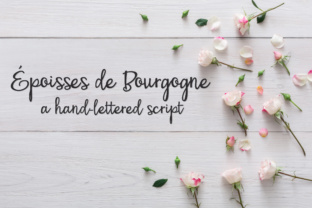 PN Époisses De Bourgogne: A Script Font for Elegant Branding